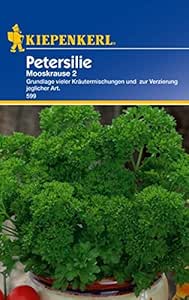 Petersilie Mooskrause 2 ein- bis zweij&auml;hrig