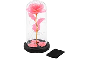 bestyks Lampada rosa in foglia d'oro simulata, coperchio in vetro, lampada luminosa, decorazione, lanterna, base in plastica, regalo di San Valentino