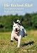 Produktbild Die Rückruf-Fibel: Hundetraining mit Spaß und Niveau