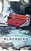 Blackbird: Roman by