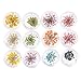 12 Colours Dry Real Dried Flower Nail Art Tips DIY Nail Decoration Manicure Art