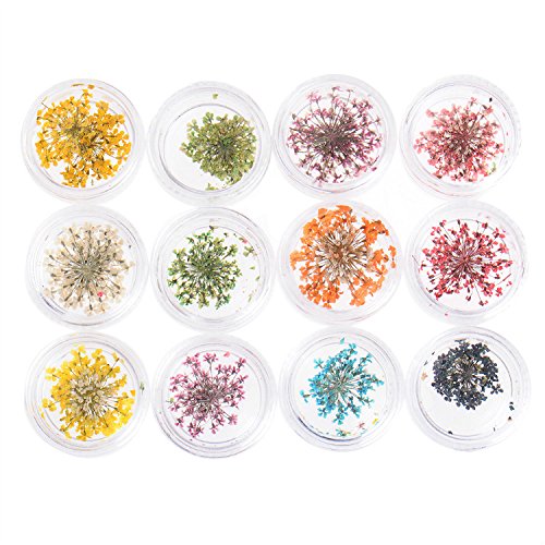 12 Colours Dry Real Dried Flower Nail Art Tips DIY Nail Decoration Manicure Art