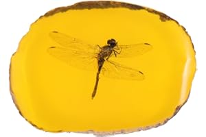 ABAODAM 1 Pieza con especímenes colección Cristal muestras Piedras pisapapeles Gecko Artificiales para Colgante Encanto joyería