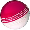 Gunn & Moore GM Cricket Ball | Rubber Training Skills Swing & Machine Balls | Men's Women's & Junior Sizes | Red White or Pink | Single, 6 or 24