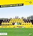 Borussia Dortmund 2014: BVB-Tischkalender mit 53 Postkarten by 