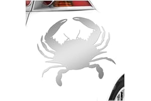 KIWISTAR - Adesivo per auto – Adesivo cancro Cancer per auto, laptop, bicicletta, camion, moto, multicolore, JDM Decal Racing