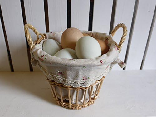 Lined wicker storage basket egg holder fruit toiletries 2 handles