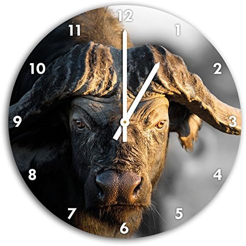 Buffalo with strong horns B &amp; W detail, wall clock diameter 30cm with white pointed the hands and face, decoration items, Designuhr, aluminum composite very nice for living room, study
