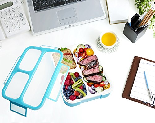 AckMond Mittagessen Bento Box, Mikrowelle und Spülmaschinenfest Lunch Box mit 3 Separate Dichtungs-Behälter (2 Stück) - 2