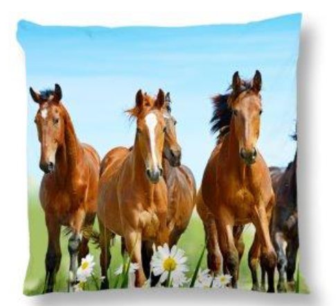 Aminata Kids – liebevolle Mädchen-Kinder-Bettwäsche 135×200 Pferde-Motiv hochwertige Baumwolle Pferde-Bettwäsche-Kinder auf der Wiese - 3