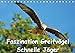 Faszination Greifvögel Schnelle Jäger (Tischkalender 2018 DIN A5 quer): Greifvögel faszinieren seit langem die Menschen. Aufnahmen von Adler, Falke ... Orte) [Kalender] [Apr 01, 2017] Klapp, Lutz - Lutz Klapp
