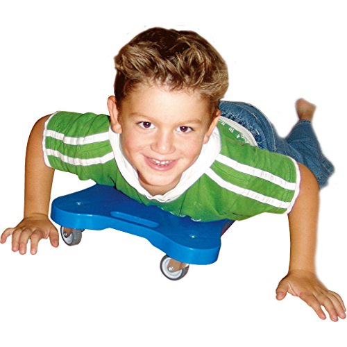 Preisvergleich Produktbild Wiemann Lehrmittel Rollbrett - 30 x 40 cm