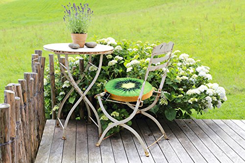SANDINI Sitzkissen/ Obstkissen/ Fruchtkissen/ 3D-Dekokissen mit Fotodruck – GROSSE AUSWAHL – Hochwertige Sitzauflage/ Sitzkissen für Stühle, Hocker, Bänke oder Sessel – Eyecatcher für Garten/ Terrasse/ Wohnräume – Dekoration/ Geschenk/ Geschenkidee – ca. 38 x 6 cm - 7