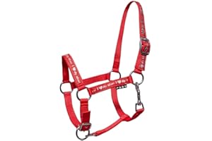 START ENJOY THE RIDE Waldkantar Start Ilovemini