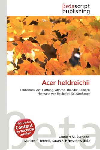 Preisvergleich Produktbild Acer heldreichii