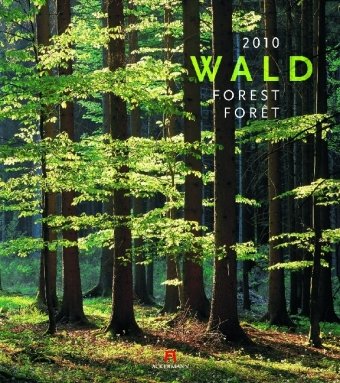 Wald 2010