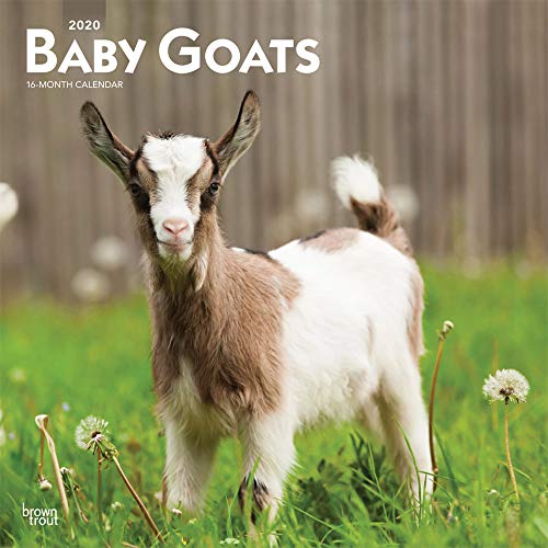 Télécharger Baby Goats 2020 Calendar PDF Ebook En Ligne