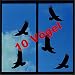 Produktbild Hochwertiges Aufkleber Set "10 x Greifvogel ca. 30 cm Aufkleber aus Hochleistungsfolie Vogelschutz Schutz für Scheiben, Wintergarten , Türen Vogel Aufkleber " von Pegatina Promotion® Aufkleber mit Verklebehilfe von Pegatina Promotion®