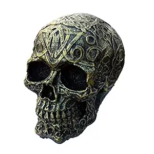 AQUAPETZWORLD Human Skull Fish Tank Ornament Aquarium Decoration Underwater Cave Fish Tank Landscape Decoration (13 x 16 x 13.5 cm)