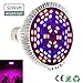 Produktbild Pawaca 50W LED Pflanzenlampe Vollspektrum Pflanzen Licht Lampe, E27 Grow LED Pflanzenleuchte, Sonnenlicht in Gewächshäusern