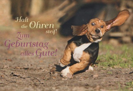 Geburtstagsüberraschung Text