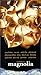 Produktbild Magnolia [VHS]