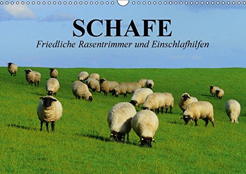Preisvergleich Produktbild Schafe. Friedliche Rasentrimmer und Einschlafhilfen (Wandkalender 2018 DIN A3 quer): Nützliche Wollknäuel und Bereicherung der Landschaften (Geburtstagskalender, 14 Seiten ) (CALVENDO Tiere)
