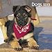 Dogs 2013. Broschürenkalender by 