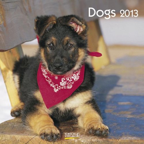 Dogs 2013. Broschürenkalender