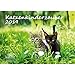 Katzenkinderzauber · DIN A3 · Premium Kalender 2019 · Katzenkinder · Katzenbabys · Katzen · Stubentiger · Tier · Edition Seelenzauber by 