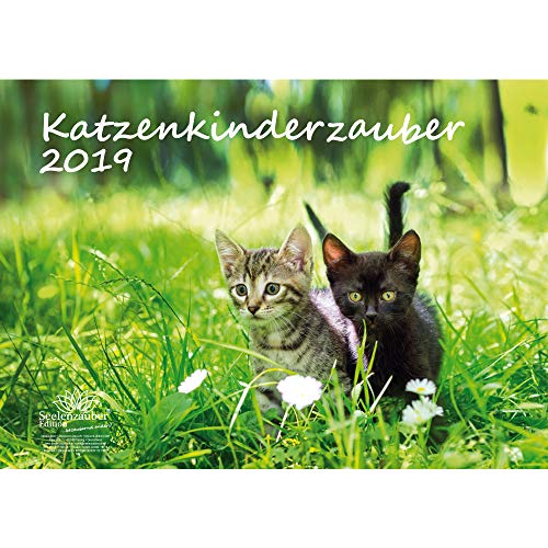 Katzenkinderzauber · DIN A3 · Premium Kalender 2019 · Katzenkinder · Katzenbabys · Katzen · Stubentiger · Tier · Edition Seelenzauber