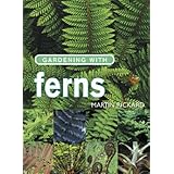Gardening with Ferns