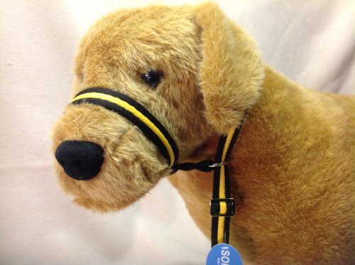 K9-Training-SUPA-SOFT-cushion-air-web-figure-of-eight-all-in-one-lead-stops-pulling-fast-Yellow-black