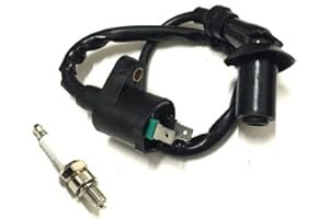 HURI 4-Takt Zündspule und Zündkerze Baotian Jinlun Benzhou Rex GY6 QMA QMB QINGQI 50ccm China Roller