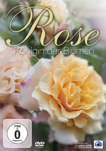 Preisvergleich Produktbild Rose - Königin der Blumen