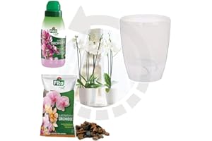 Opengardenweb Kit Rinvaso Orchidee completo Vaso Trasparente con auto-irrigazione diámetro 12cm Substrato Specifico 1Lt Concime Liquido 250ml Guanti in pelle Inclusa Guida Completa (Rotondo)