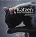 Katzen - Diven auf Samtpfoten - Kalender 2019 by