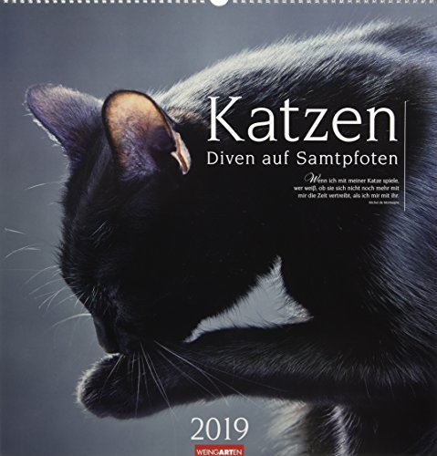 Katzen - Diven auf Samtpfoten - Kalender 2019
