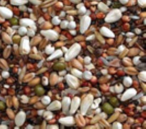 FISHING BAIT: 12.5KG JOHNSTON+JEFF'S PIGEON CONDITION USED AS A PARTICLE FISHING BAIT ANISEED