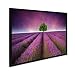 Produktbild Poster mit Bilderrahmen Schwarz 'Lavendel' 30x40 cm Motiv Natur Landschaft Foto Blumenwiese