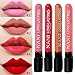Waterproof Liquid Makeup Lip Pencil Matte Lipstick Lip Gloss Super Long Lasting 10#