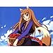 Produktbild Spice and Wolf Poster On Silk  - Seide Plakat - 1EFE28