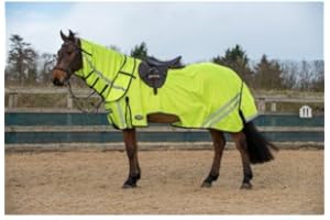 Gallop Ride-On Fly Rug Combo (6'9", Fluorescent)