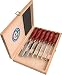 Produktbild Stechbeitelsatz B.6 10 12 16 20 26 mm mit Plastikheft rot Holzkasten Kirschen