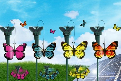 Flatternder Solar Schmetterling