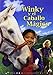 Winky y el caballo mágico [DVD]