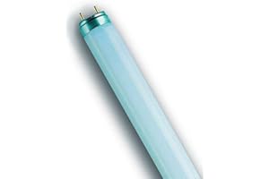 OSRAM Lot de 10 Tubes fluo LUMILUX T8 36 Watt Culot G13 Longueur 1200 mm (830)