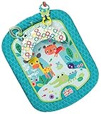 Bright Starts Tummy Mat Refresh Rattles (Baby Product)