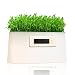 Produktbild IRuipai Blumentopf Garten Pflanzer Innen Pflanzenbehälter Töpfe Pflanzenklack/Grüne Kraft/Mini-Kraftwerk/DIY Kreative Uhr für Wohnzimmer, Schlafzimmer, Büro