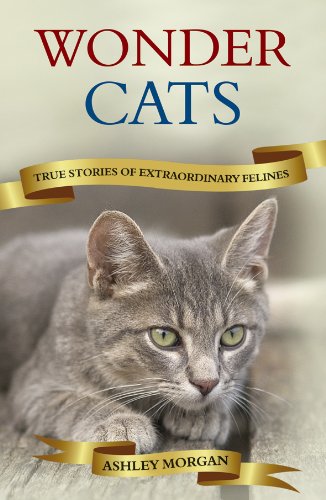 Livres Couvertures de Wonder Cats: True Tales of Extraordinary Felines (English Edition)
